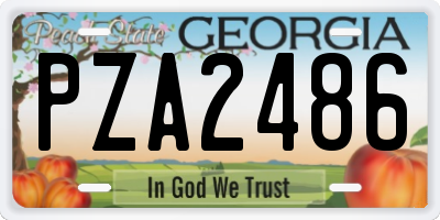 GA license plate PZA2486