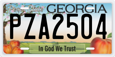 GA license plate PZA2504