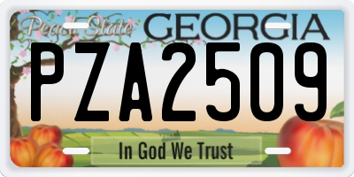 GA license plate PZA2509