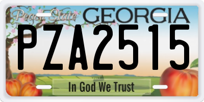 GA license plate PZA2515