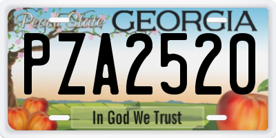 GA license plate PZA2520