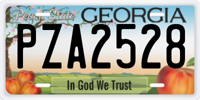 GA license plate PZA2528