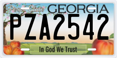 GA license plate PZA2542
