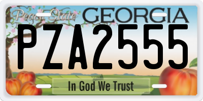 GA license plate PZA2555