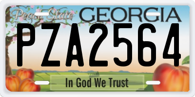 GA license plate PZA2564