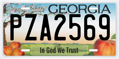 GA license plate PZA2569