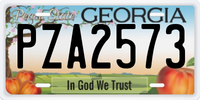 GA license plate PZA2573