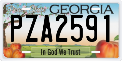 GA license plate PZA2591