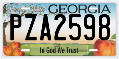 GA license plate PZA2598