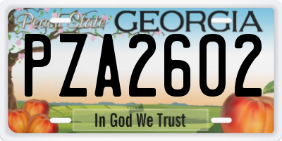 GA license plate PZA2602
