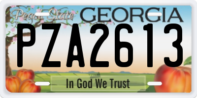 GA license plate PZA2613