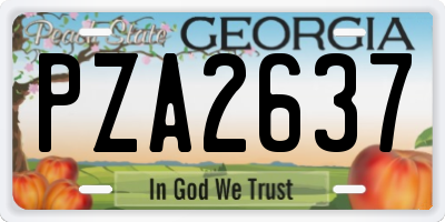 GA license plate PZA2637