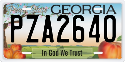 GA license plate PZA2640