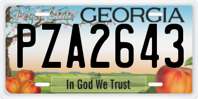 GA license plate PZA2643