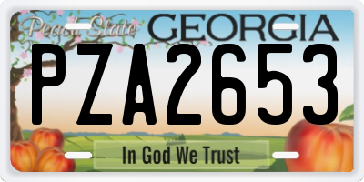 GA license plate PZA2653