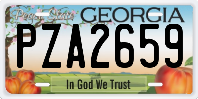 GA license plate PZA2659