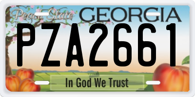 GA license plate PZA2661