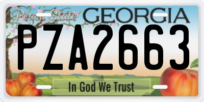 GA license plate PZA2663