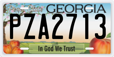 GA license plate PZA2713