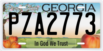 GA license plate PZA2773