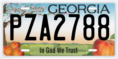 GA license plate PZA2788
