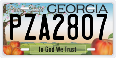 GA license plate PZA2807