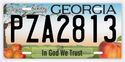 GA license plate PZA2813