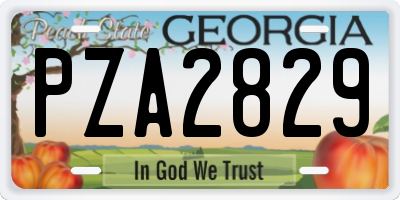 GA license plate PZA2829