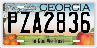 GA license plate PZA2836