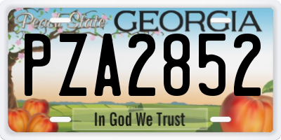 GA license plate PZA2852