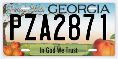 GA license plate PZA2871