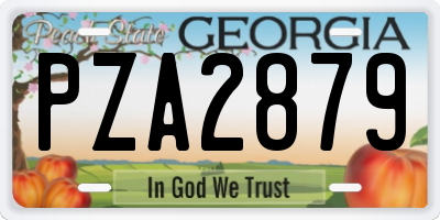 GA license plate PZA2879
