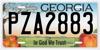 GA license plate PZA2883