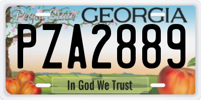 GA license plate PZA2889