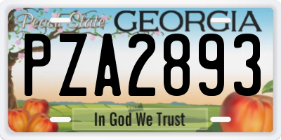 GA license plate PZA2893