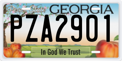 GA license plate PZA2901