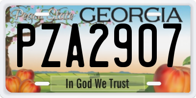 GA license plate PZA2907