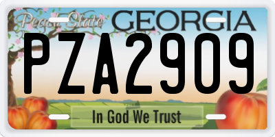 GA license plate PZA2909