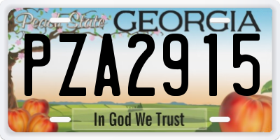 GA license plate PZA2915