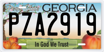 GA license plate PZA2919