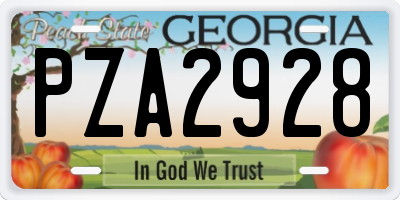 GA license plate PZA2928