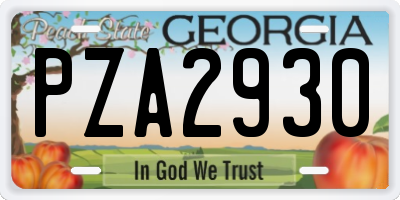 GA license plate PZA2930