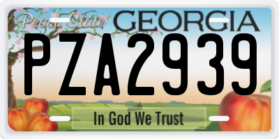 GA license plate PZA2939