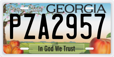 GA license plate PZA2957