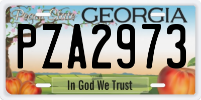 GA license plate PZA2973