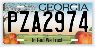 GA license plate PZA2974