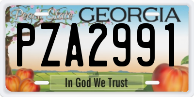 GA license plate PZA2991
