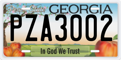 GA license plate PZA3002