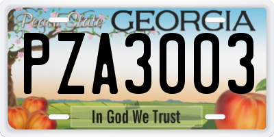 GA license plate PZA3003