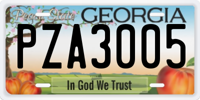 GA license plate PZA3005